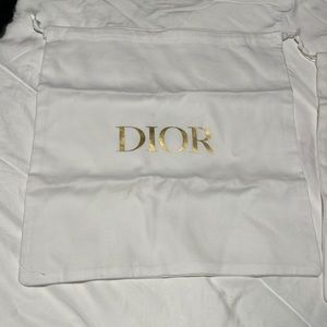 Dior shoes bag
